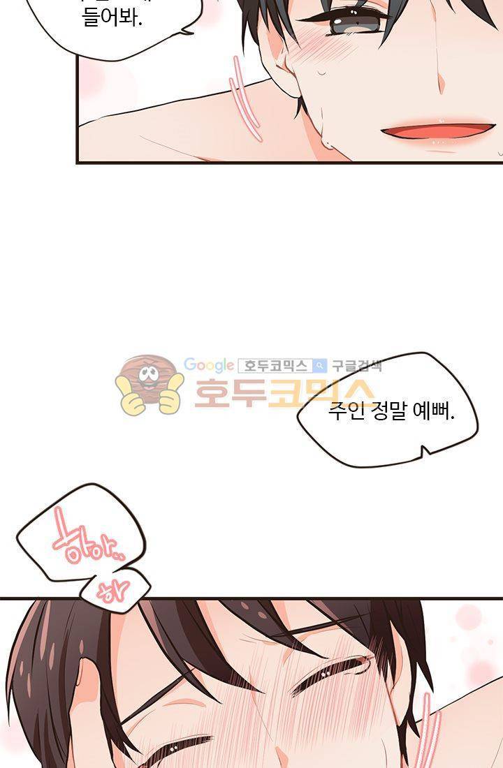 멍멍냥냥 18화 - 확실히 알았어! 27