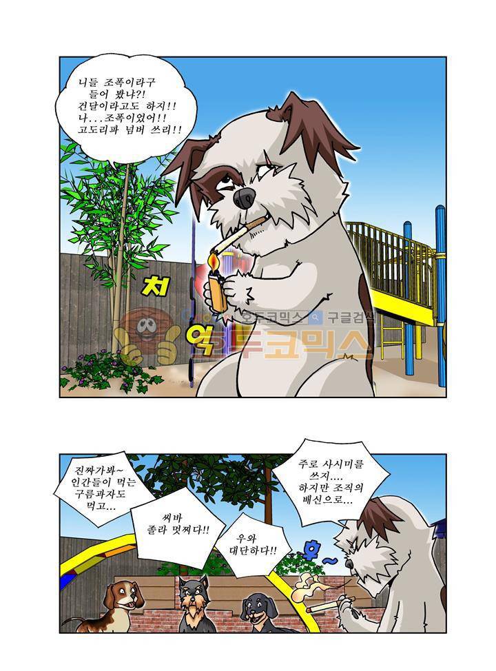 조폭강쥐 용파리 31화 - 용팔이의 허세 (1) 2