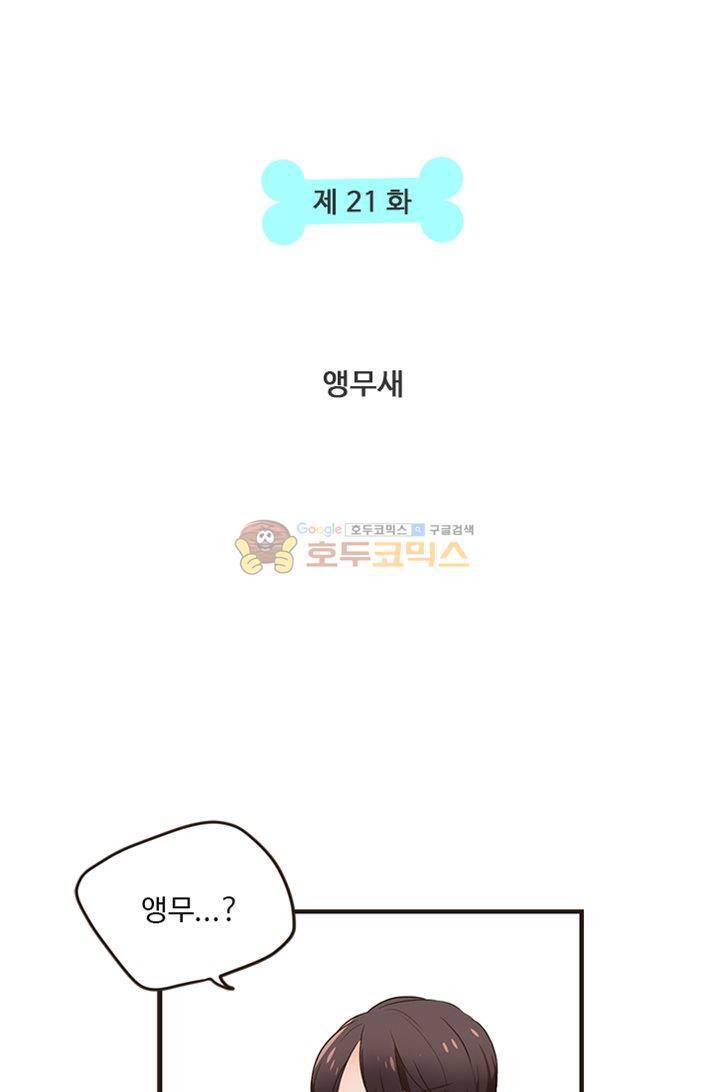 멍멍냥냥 21화 - 앵무새 7