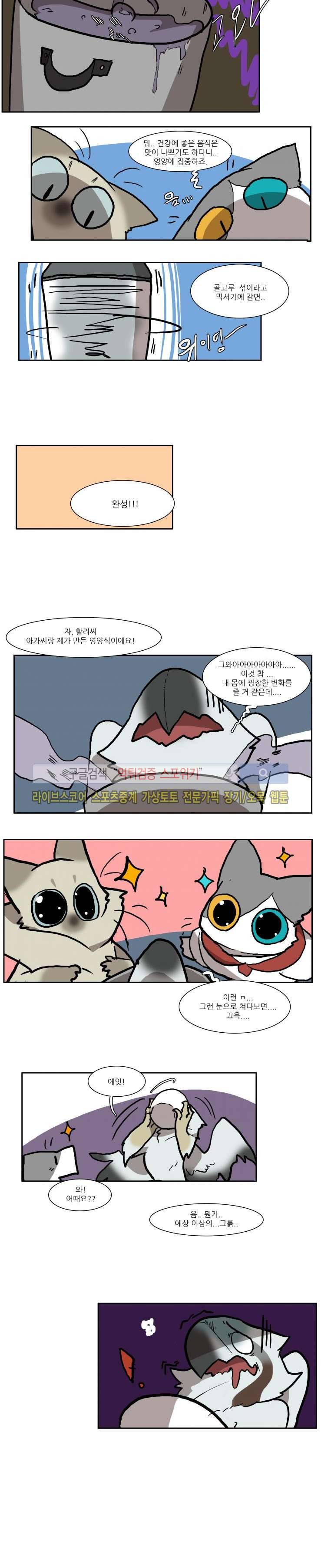 고양이 아가씨와 경호원들 45화 4