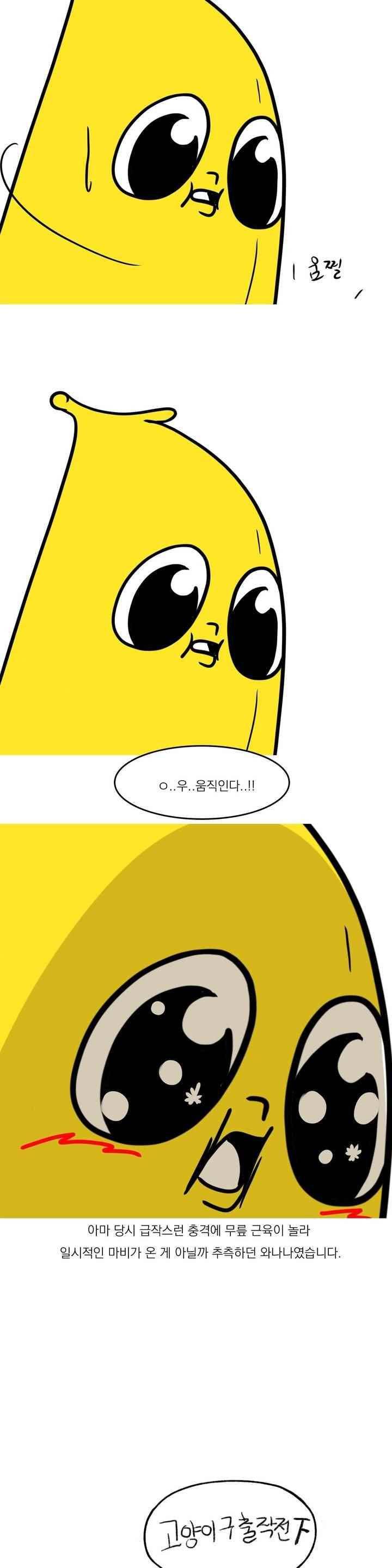 바나나툰 45화 3