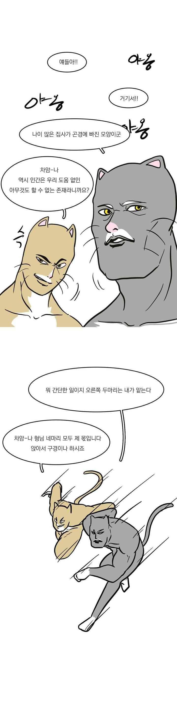 바나나툰 45화 15