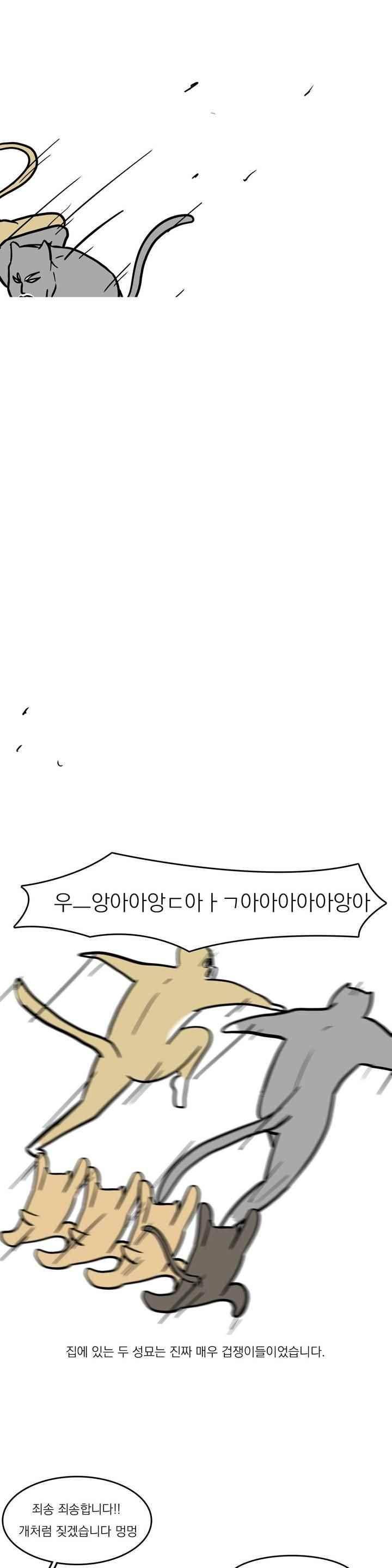 바나나툰 45화 16