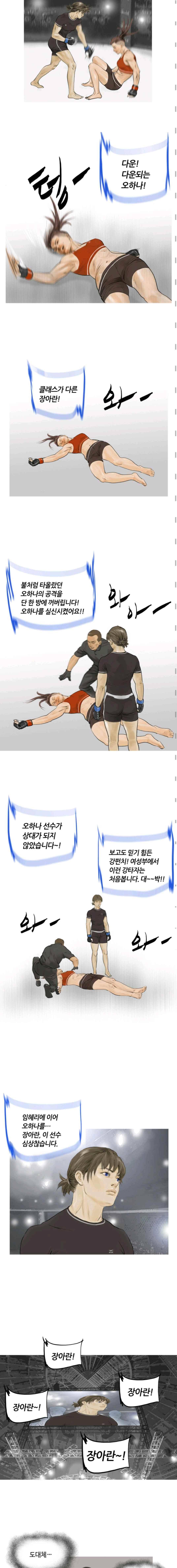 최종격투기 38화 2