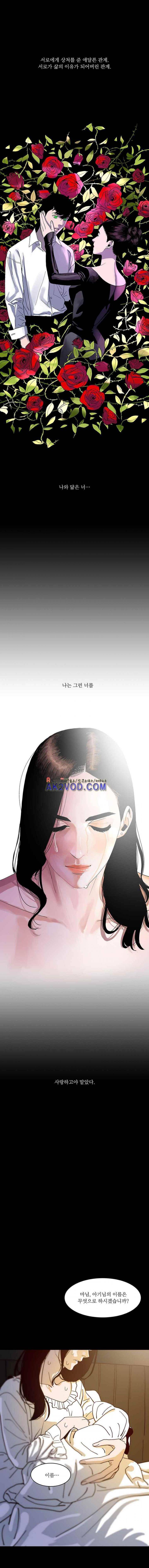 바토리의 아들 - [에필로그] 12