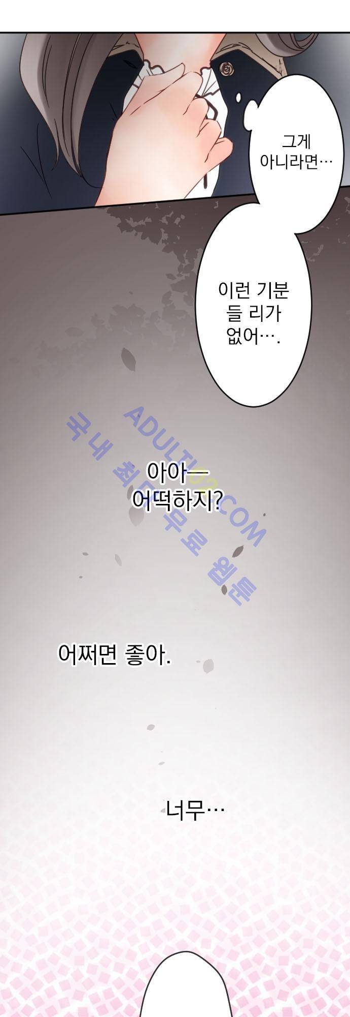 도련님과 메이드 71화 12