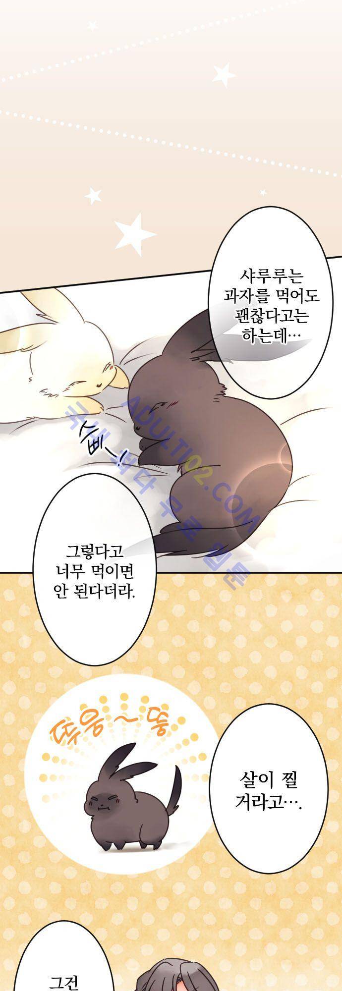 도련님과 메이드 101화 4