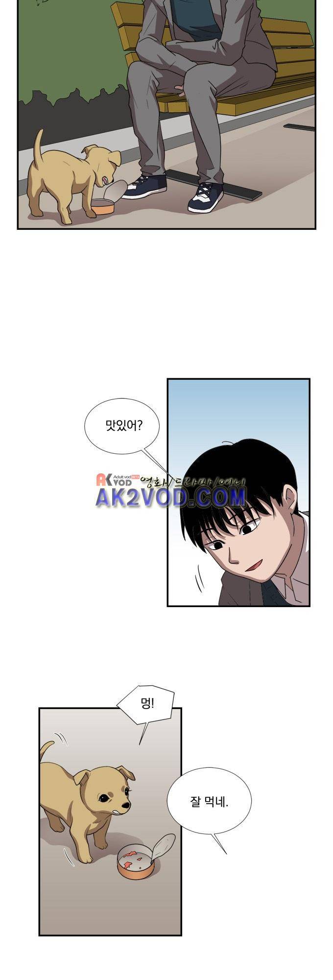 명예소녀의 추락 13화 3