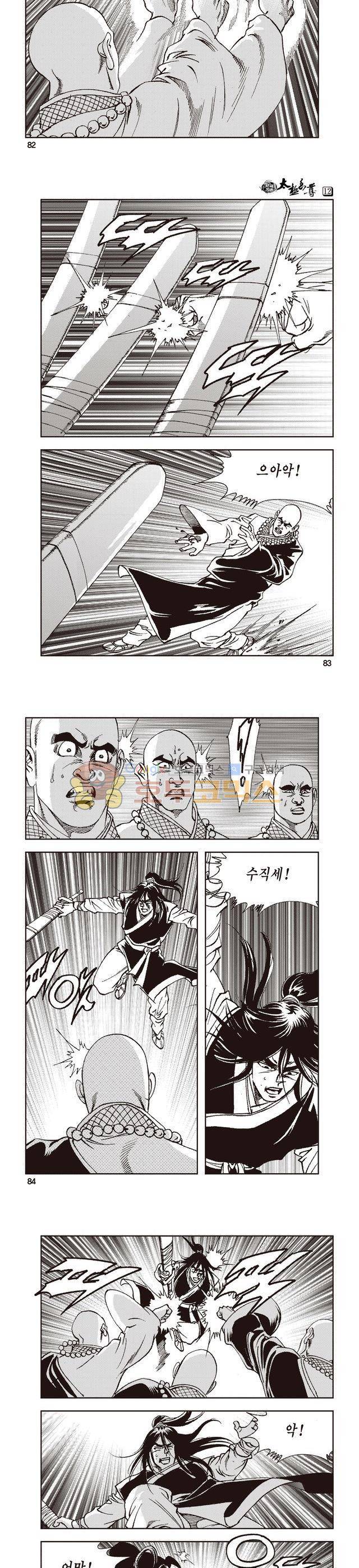 태극지존 12권 27