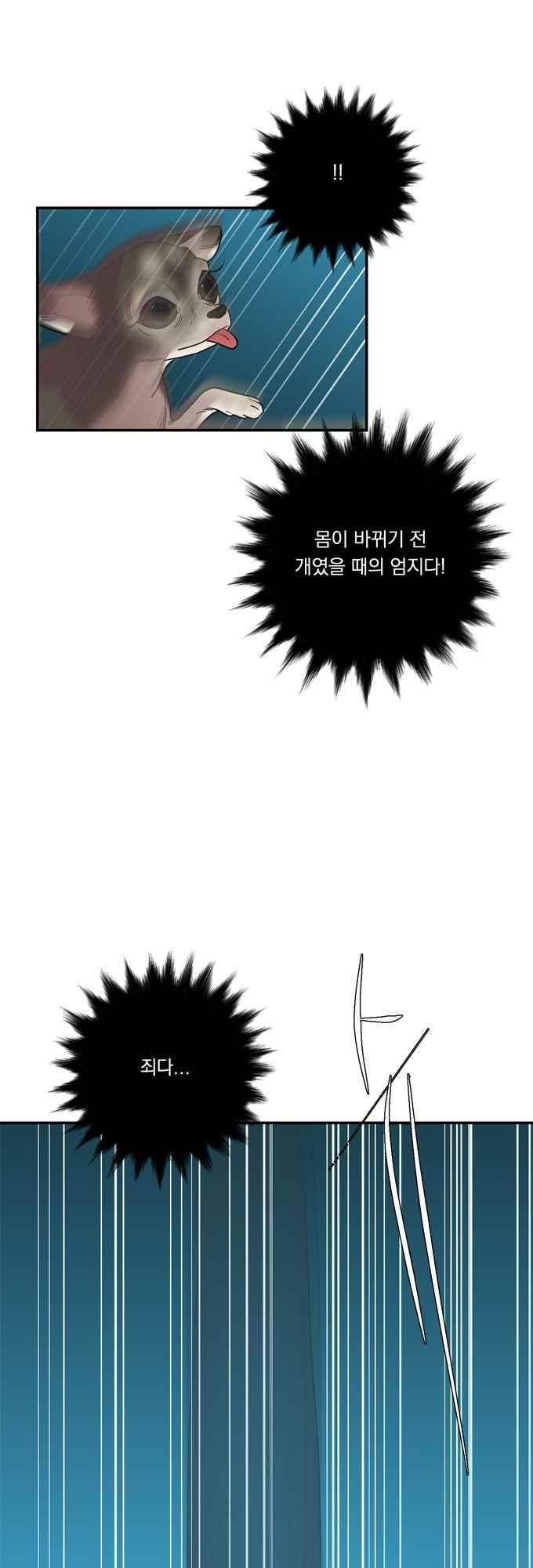 명예소녀의 추락 61화 11