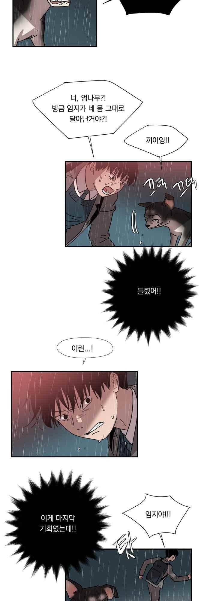 명예소녀의 추락 61화 30