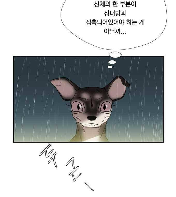 명예소녀의 추락 61화 39