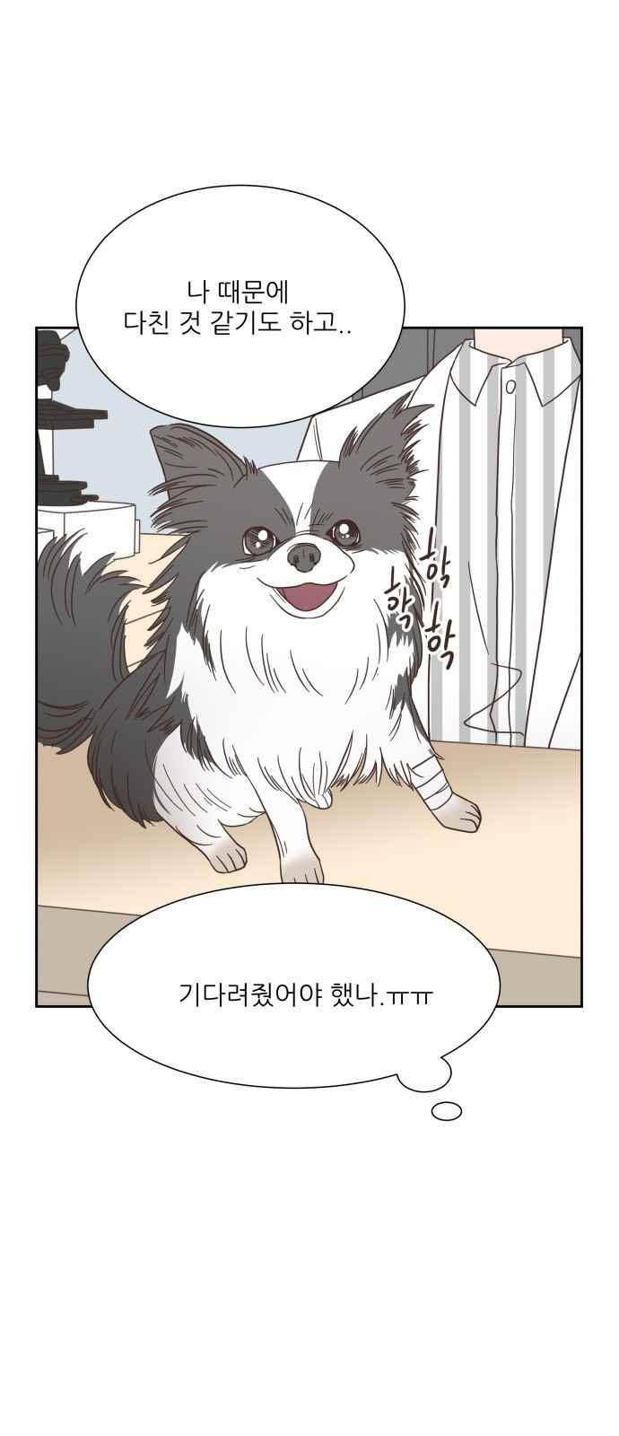유일무이 로맨스 45화 8
