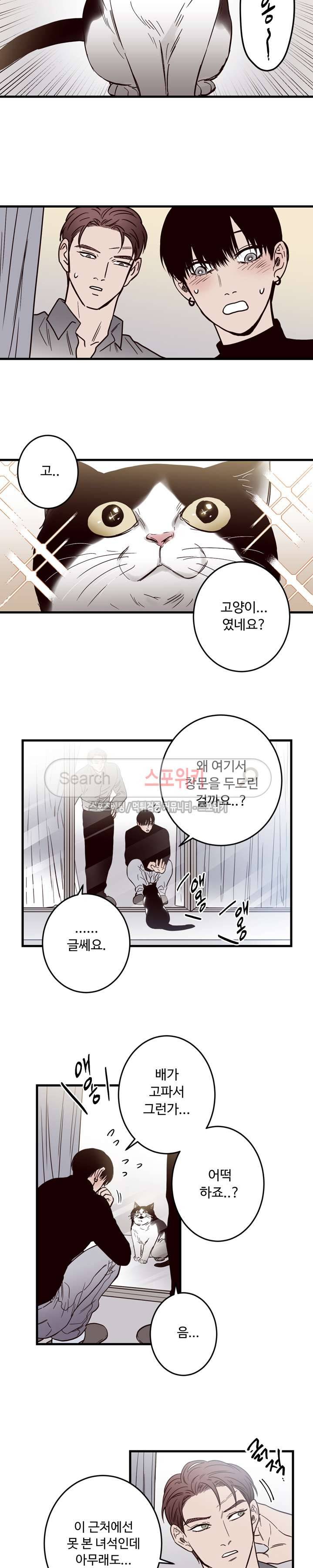 교차선 10화 3
