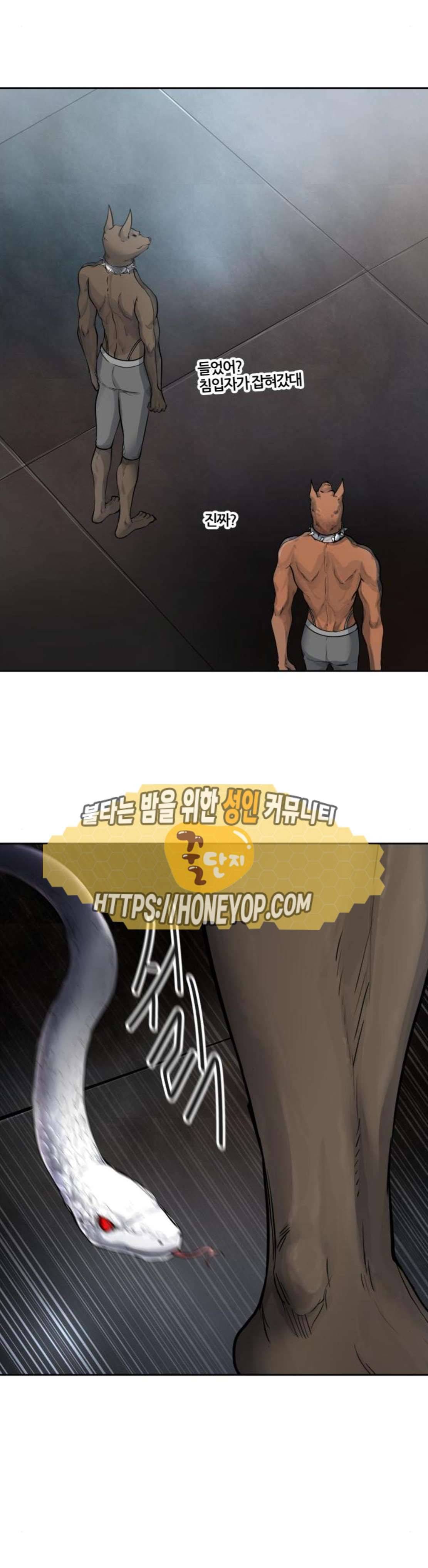 신의 탑 3부 6화 - 댕댕 (5) 6