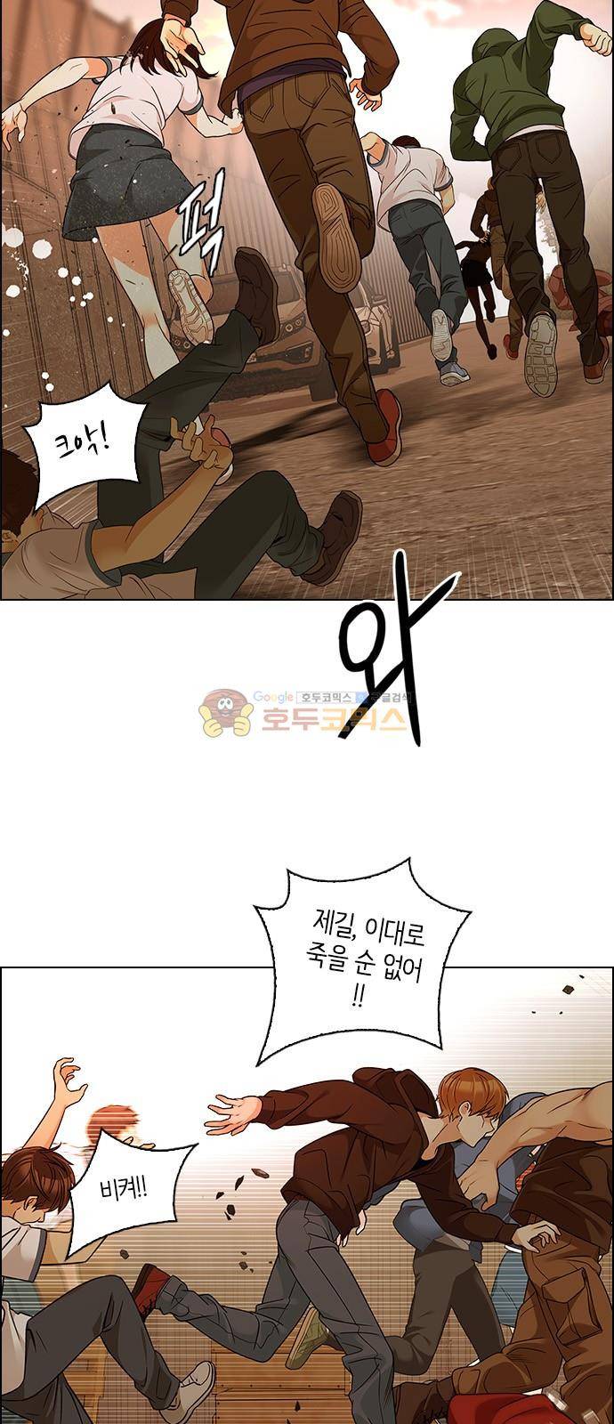 다이스 273화 8