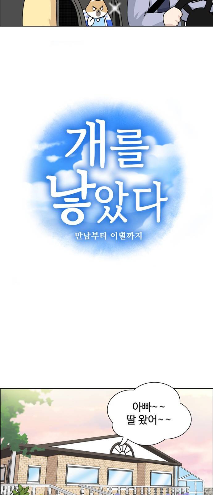 개를 낳았다 15화 6