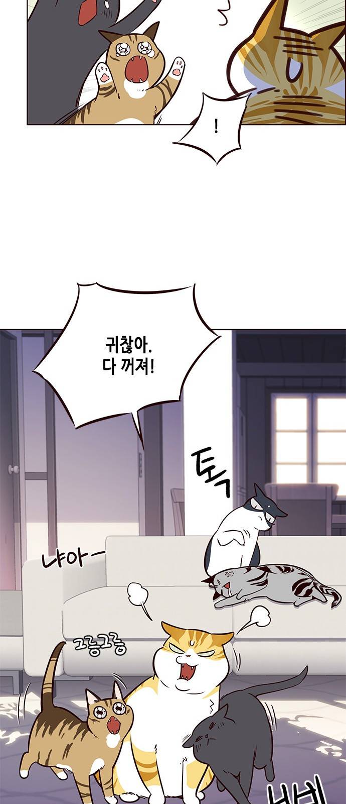 일렉시드 7화 48