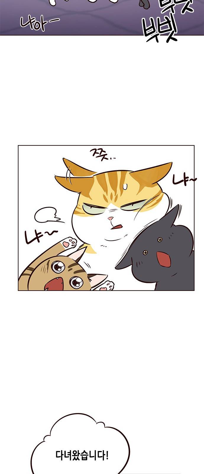 일렉시드 7화 49