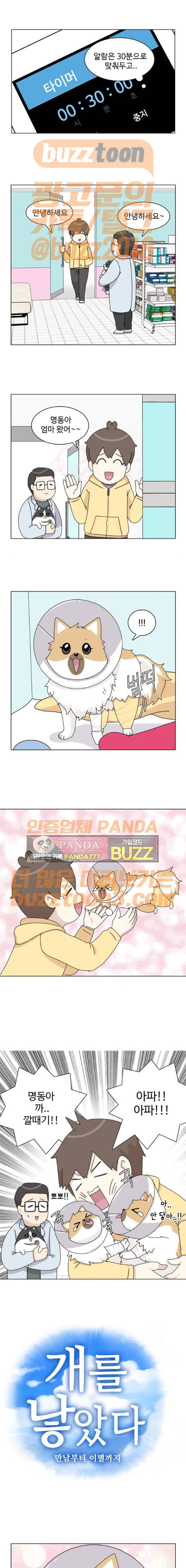 개를 낳았다 47화 1