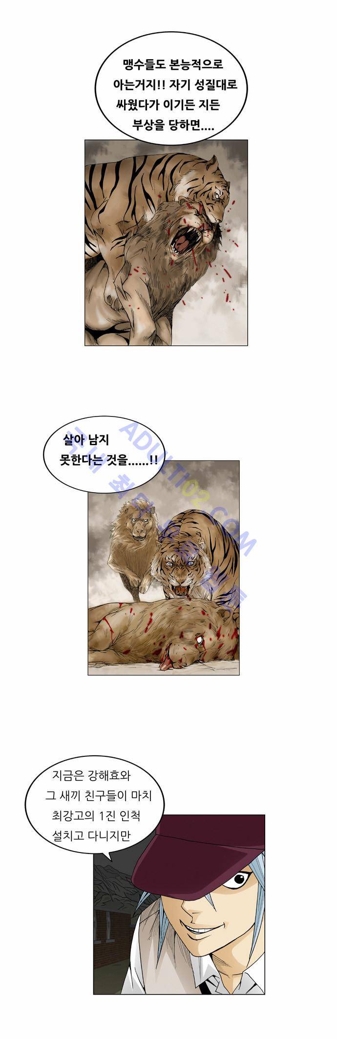 최강전설 강해효 (49) 19