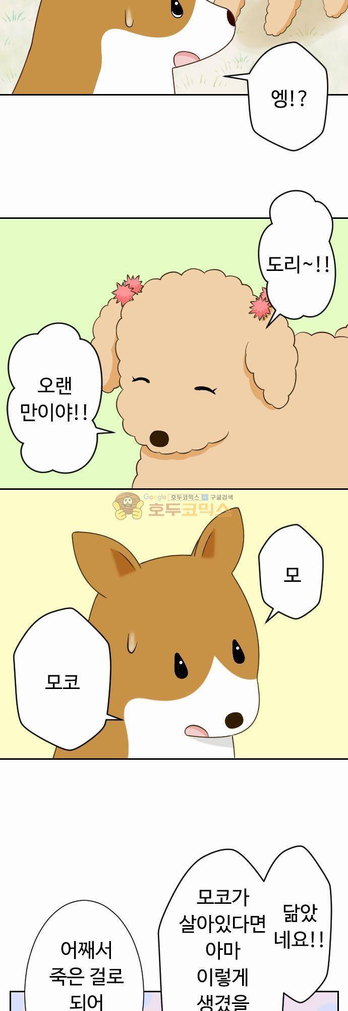 화이트 포메 69화 - 재회 4