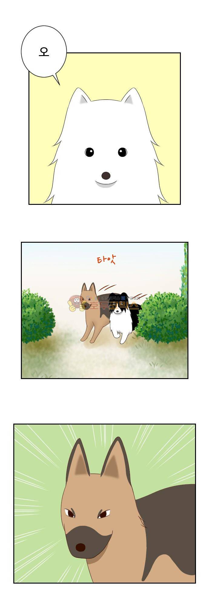 화이트 포메 100화 - 이미지 2