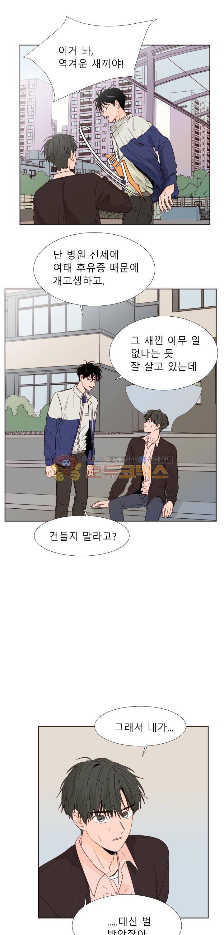 남의BL만화 110화 8