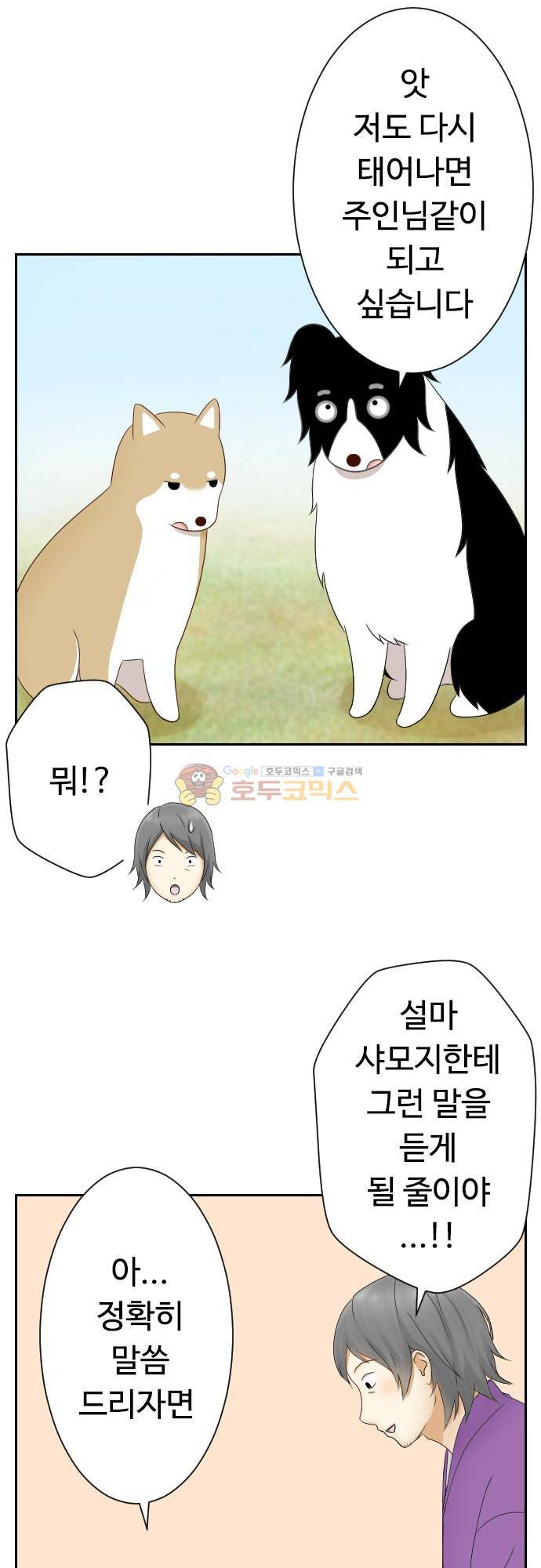 화이트 포메 135화 - 짧은 이야기 (8) 3