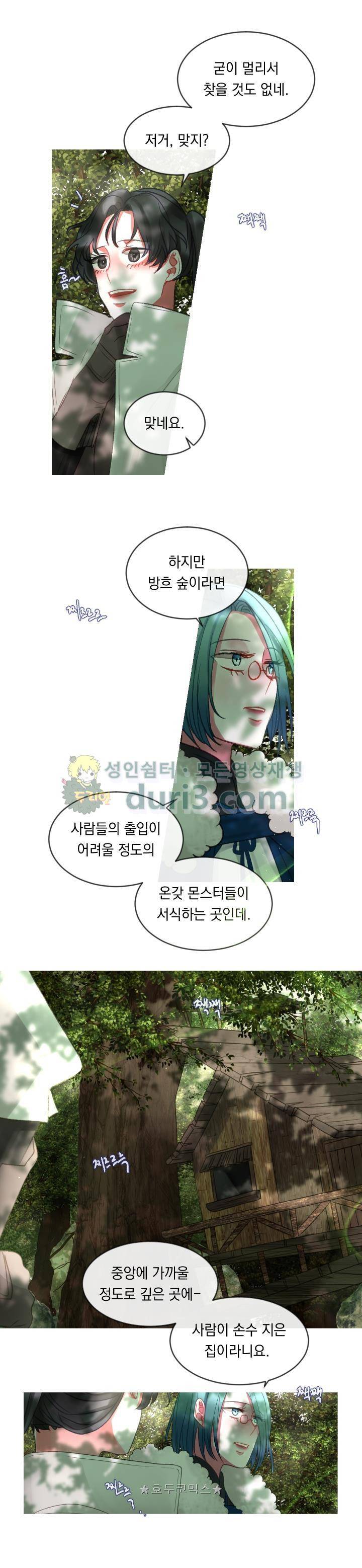 은의 공녀, 까마귀 공녀 10화 - 뜻밖의 의뢰 (2) 1