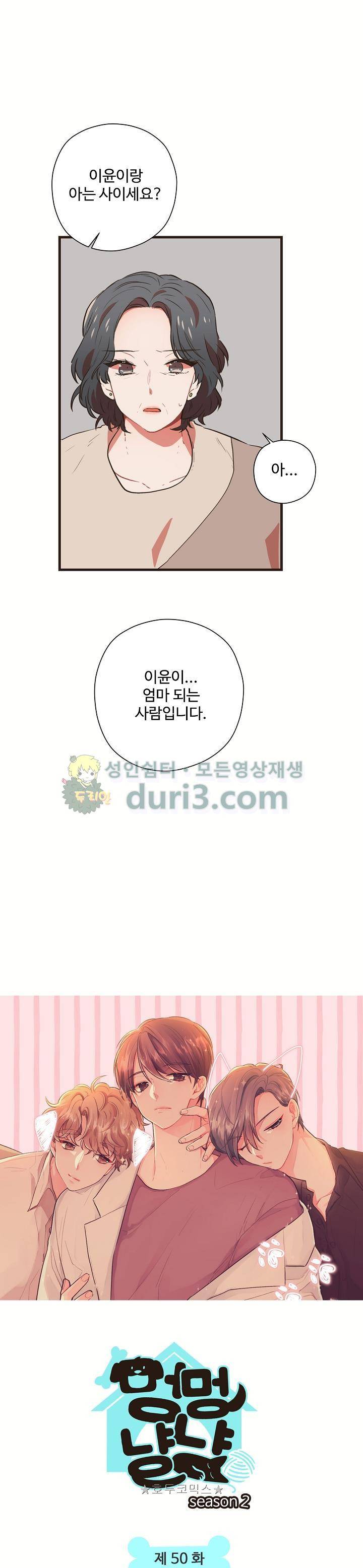 멍멍냥냥 50화 2