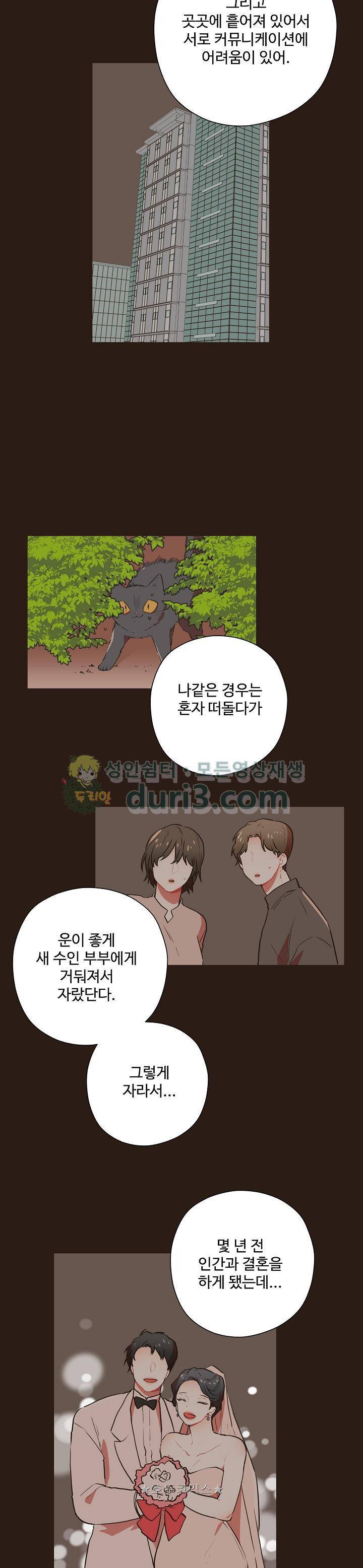 멍멍냥냥 50화 9