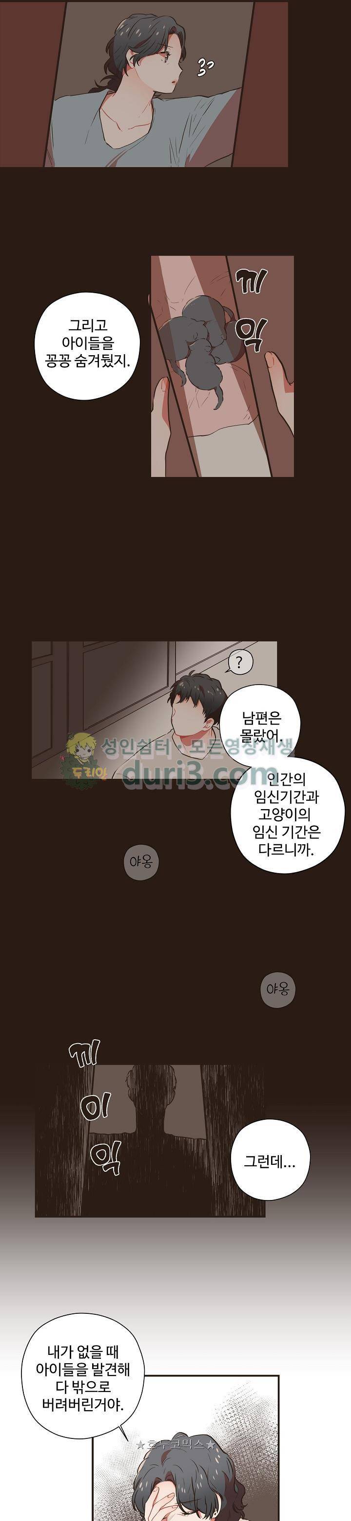 멍멍냥냥 50화 11