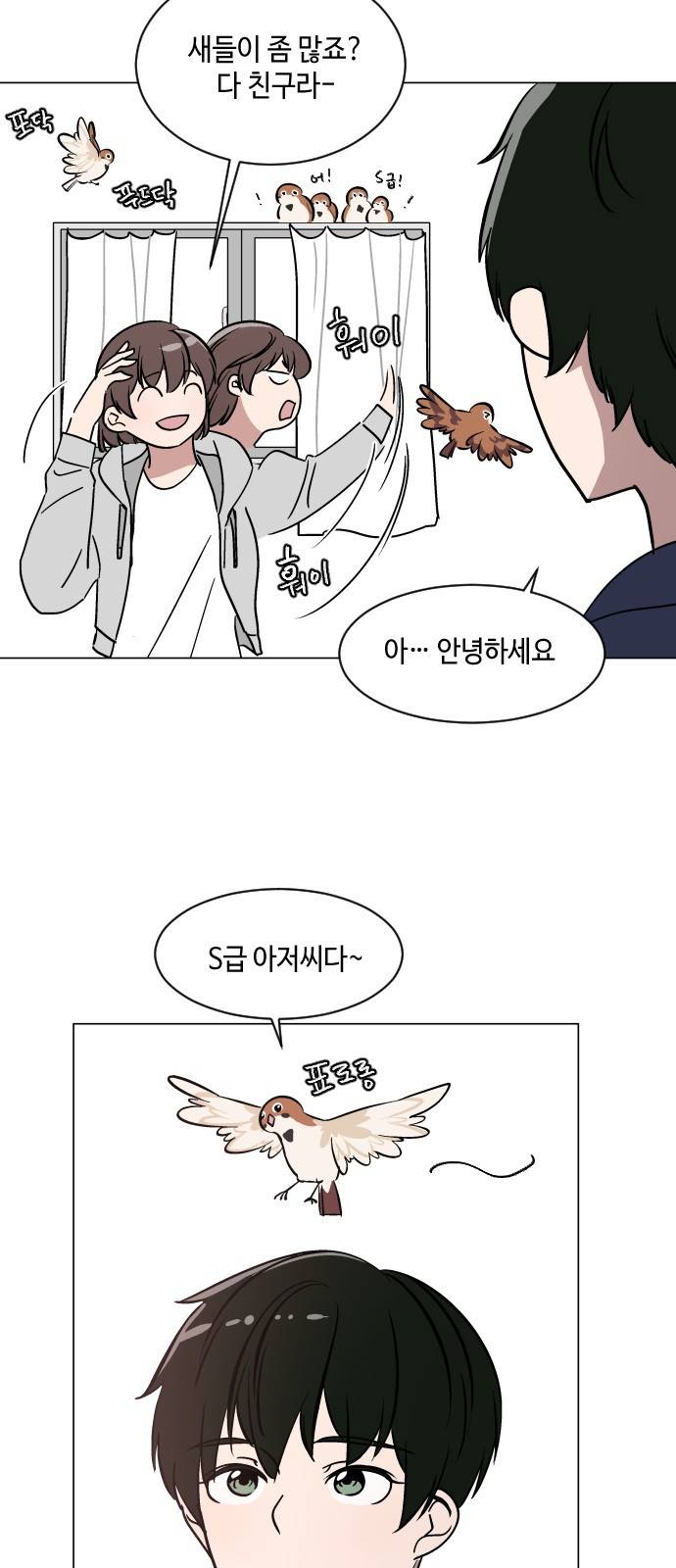 참새는 새!신부 33화 4