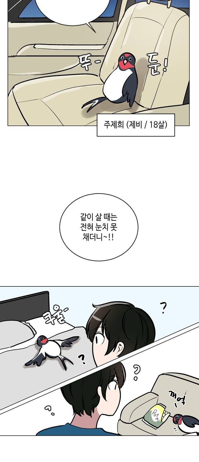 참새는 새!신부 53화 3