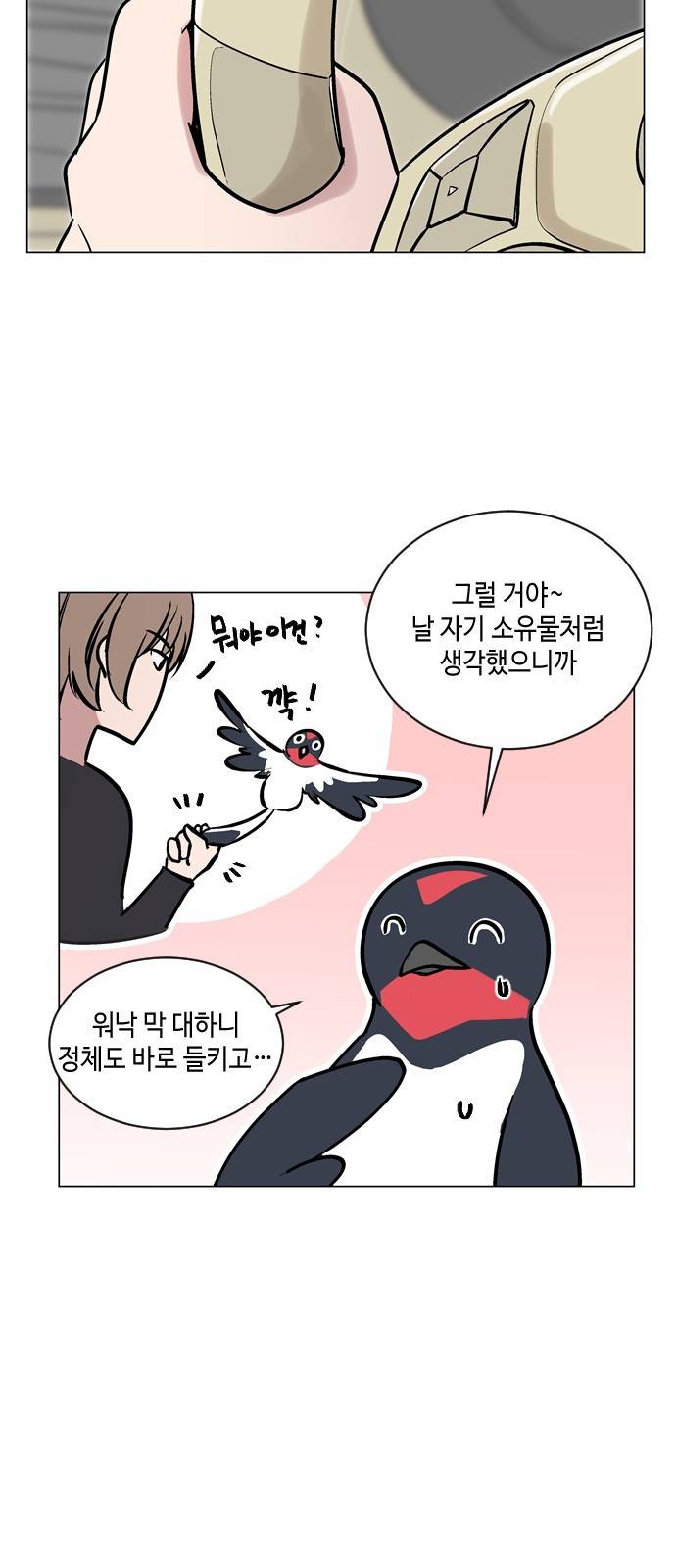 참새는 새!신부 53화 7