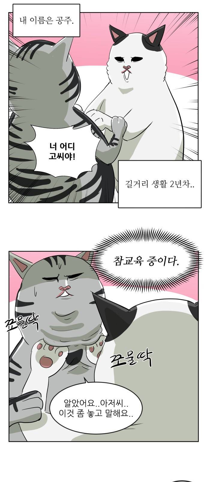 냥하무인 1화 - 집사 찾기 (1) 2