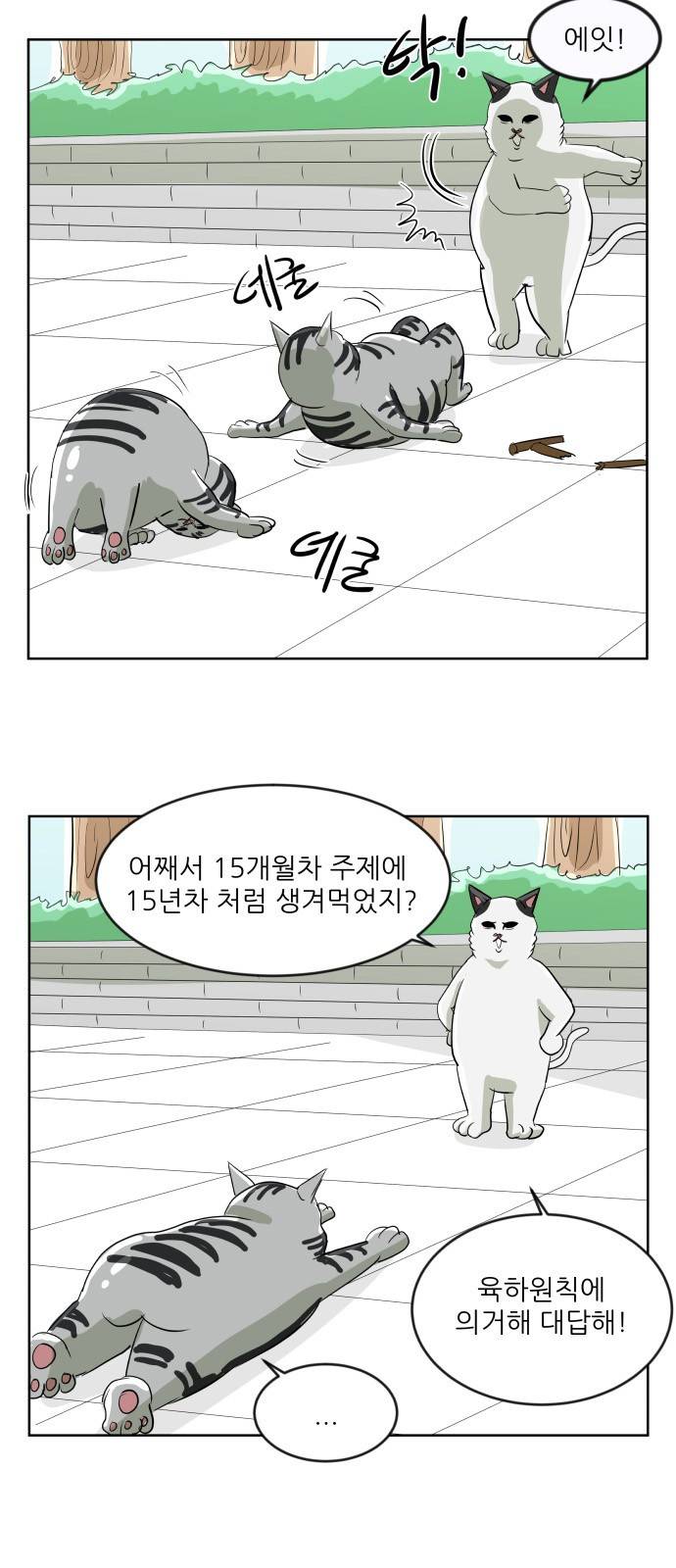 냥하무인 1화 - 집사 찾기 (1) 3