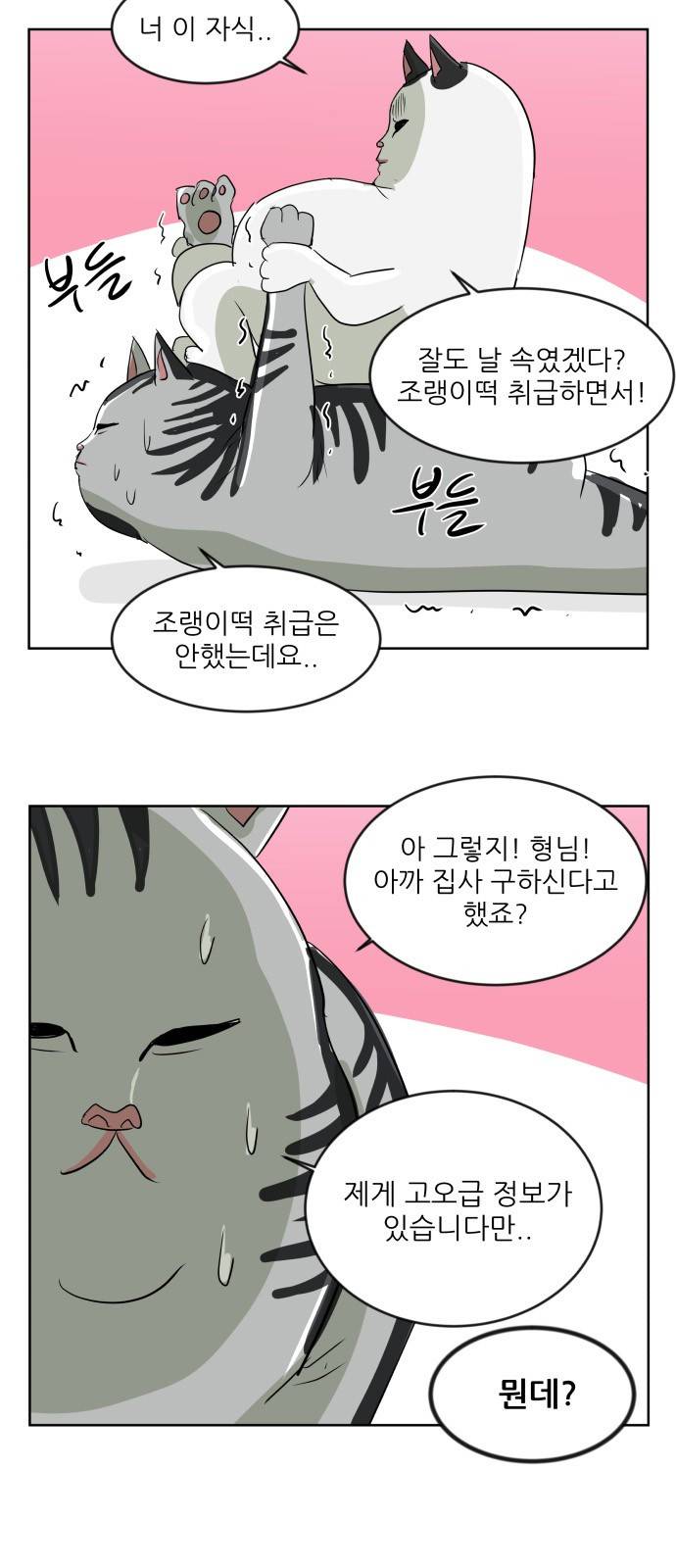 냥하무인 1화 - 집사 찾기 (1) 6