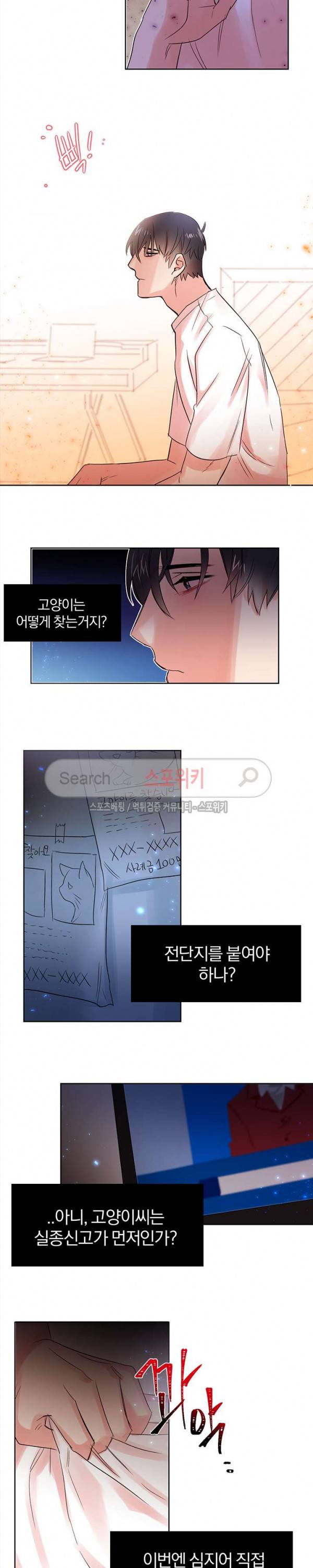 골판지 상자 안 고양이씨 7화 5