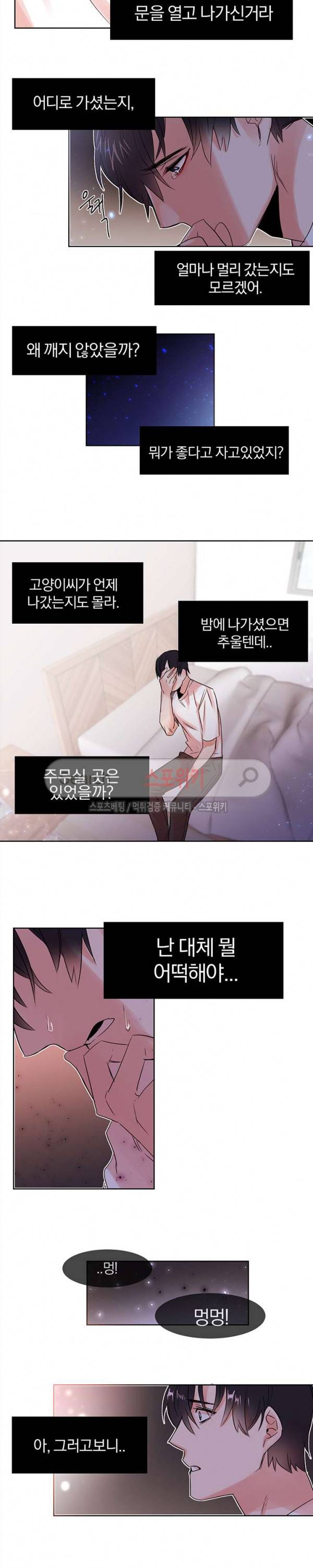 골판지 상자 안 고양이씨 7화 6