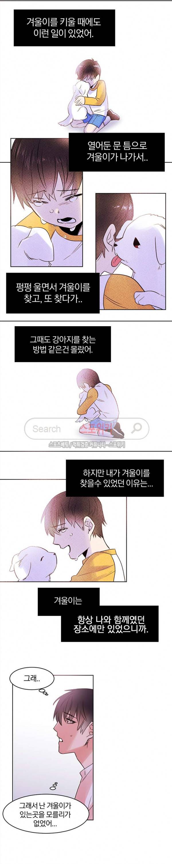 골판지 상자 안 고양이씨 7화 7
