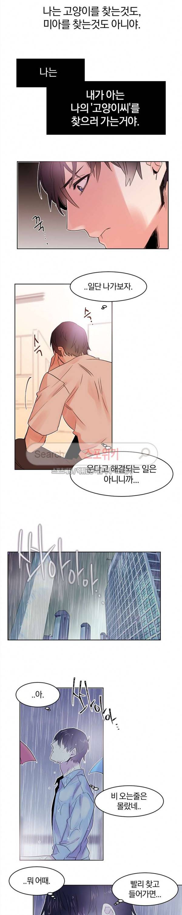골판지 상자 안 고양이씨 7화 8