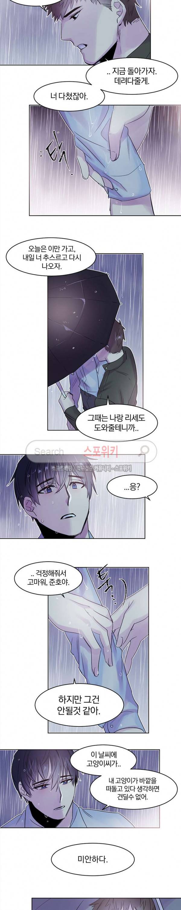 골판지 상자 안 고양이씨 7화 11