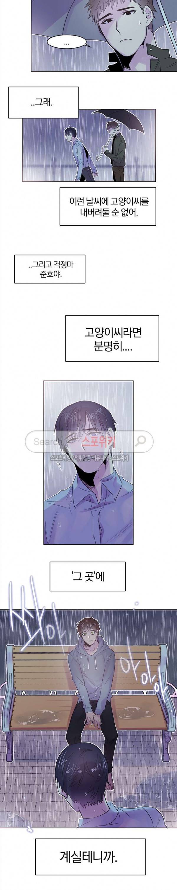 골판지 상자 안 고양이씨 7화 12