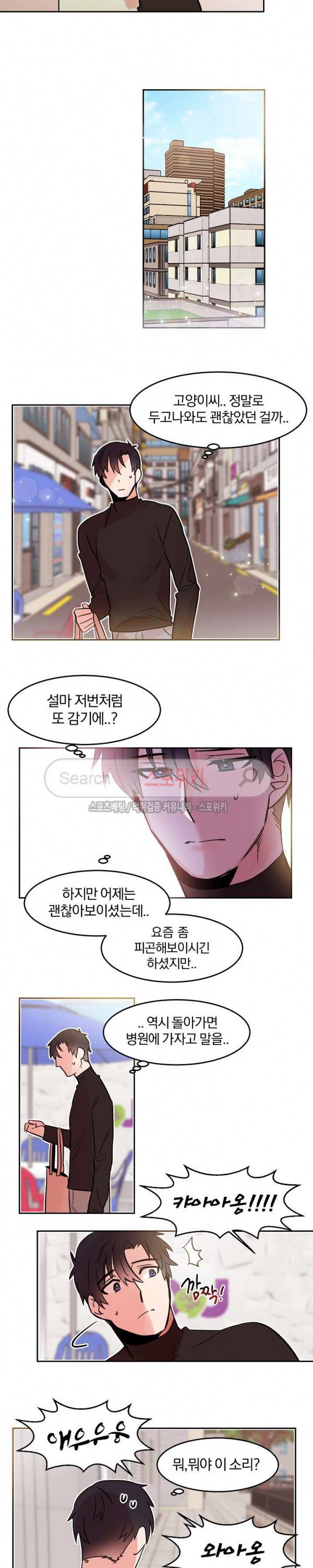 골판지 상자 안 고양이씨 19화 6