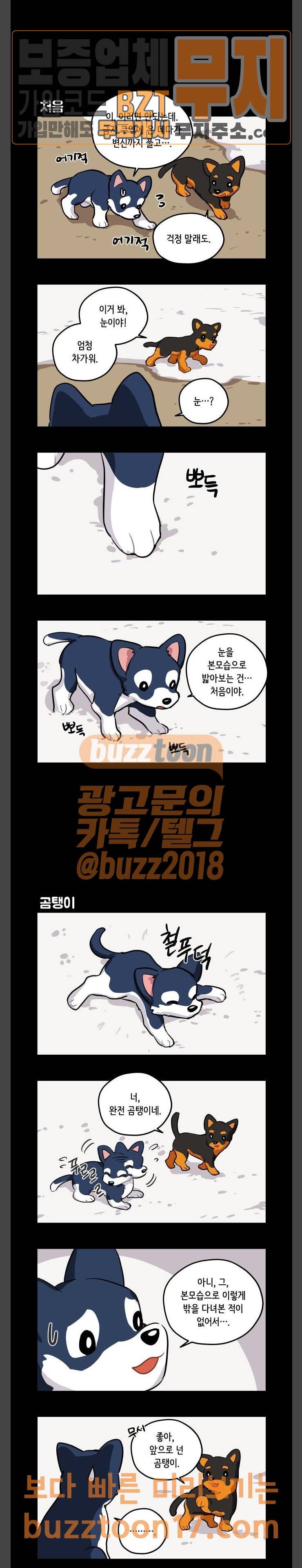 롤랑롤랑 54화 2