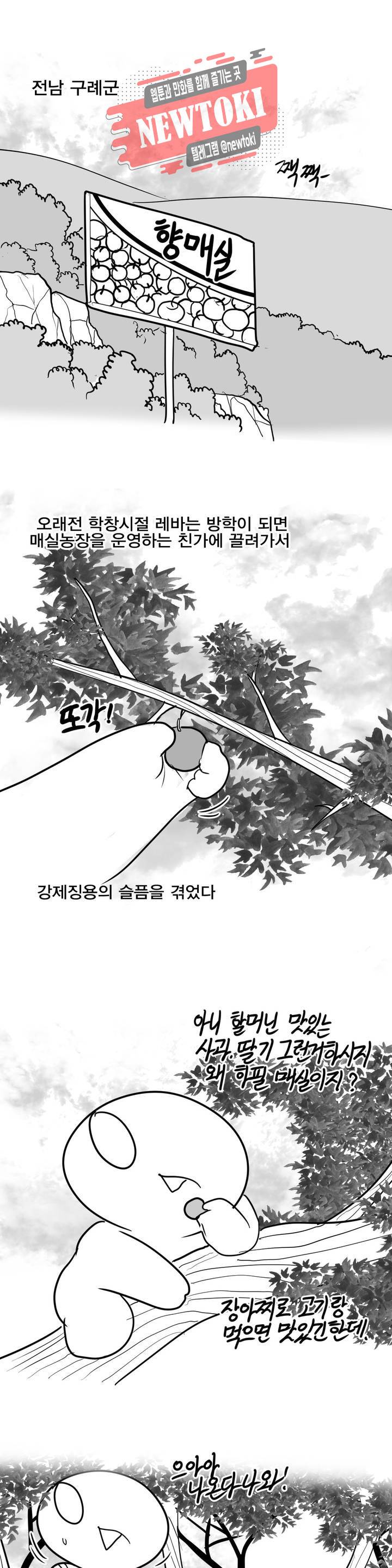 레바툰 164화 동굴을 발견한 레바 上 1