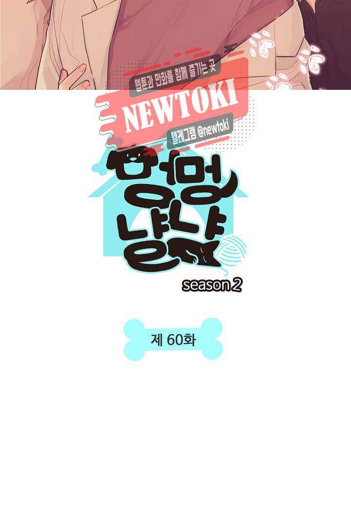 멍멍냥냥 60화 9