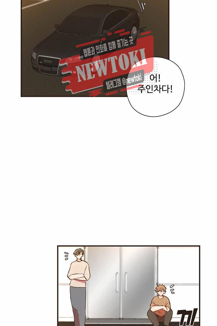 멍멍냥냥 60화 54